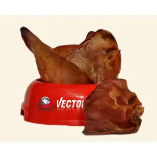 Vector-Food Ucho wieprzowe średnie 1szt